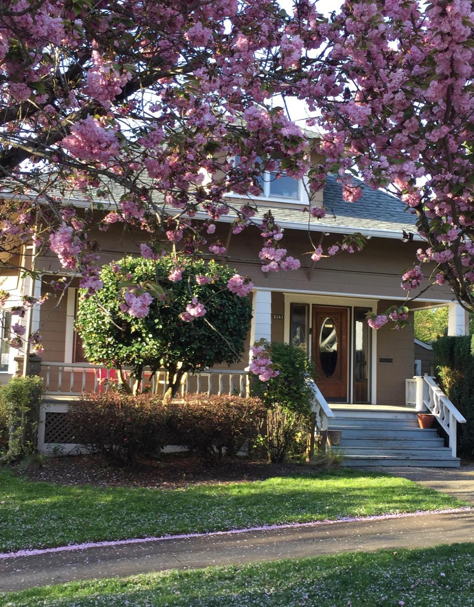 Southeast Portland Comfy & Eclectic Craftsman Home ภายนอก รูปภาพ