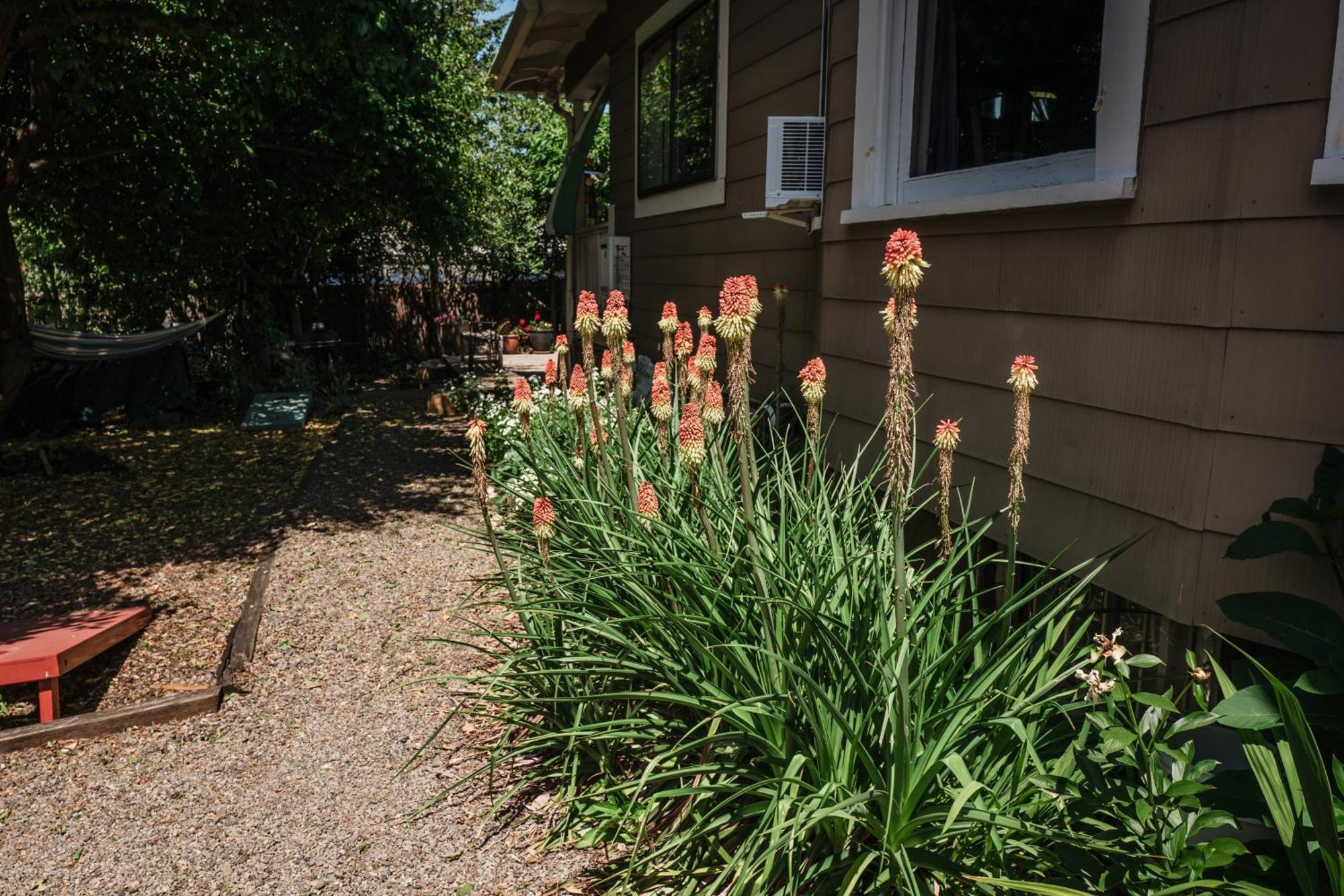 Southeast Portland Comfy & Eclectic Craftsman Home ภายนอก รูปภาพ
